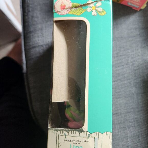 Vintage (1982) Strawberry Shortcake Lime Chiffon Doll W/ Parrot Pet in box - Picture 4 of 5